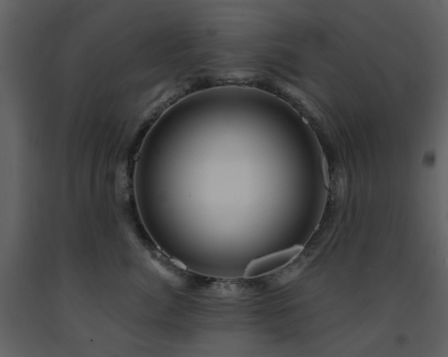 X0000091720764200708241349