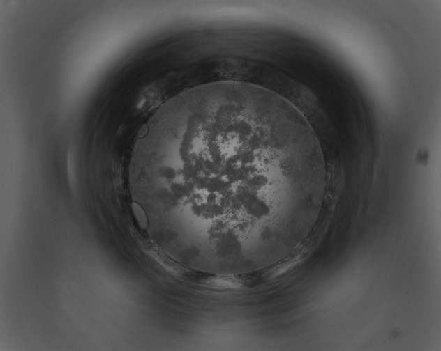 X0000091720765200708241349