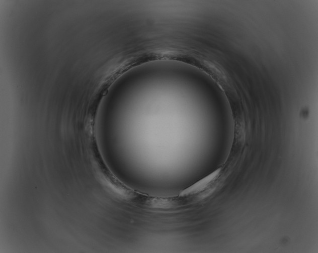 X0000091720766200708241349