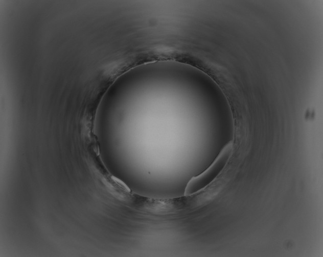 X0000091720768200708241349