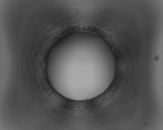 X0000091720769200708241348