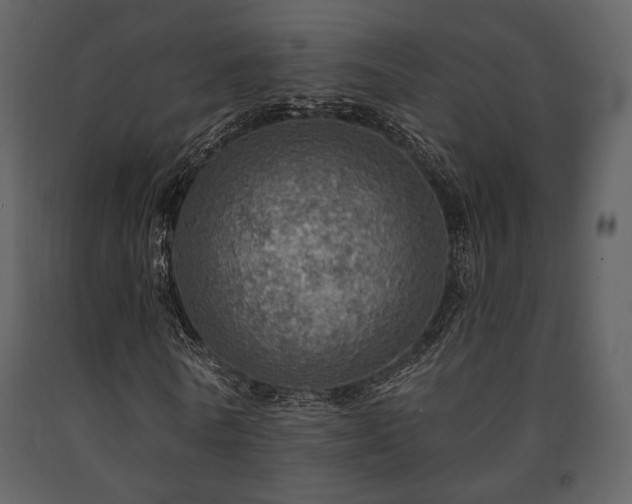 X0000091720770200708241348