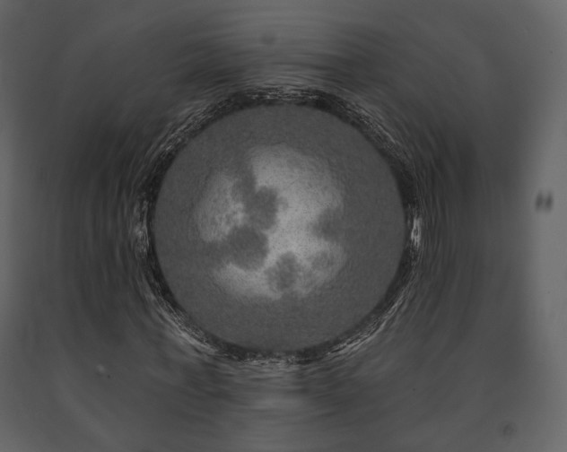 X0000091720771200708241348