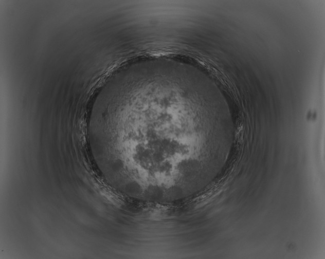X0000091720772200708241348
