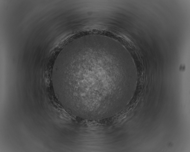 X0000091720774200708241348