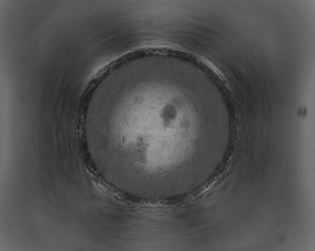 X0000091720775200708241348