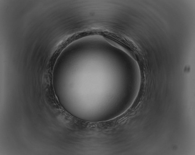 X0000091720776200708241348
