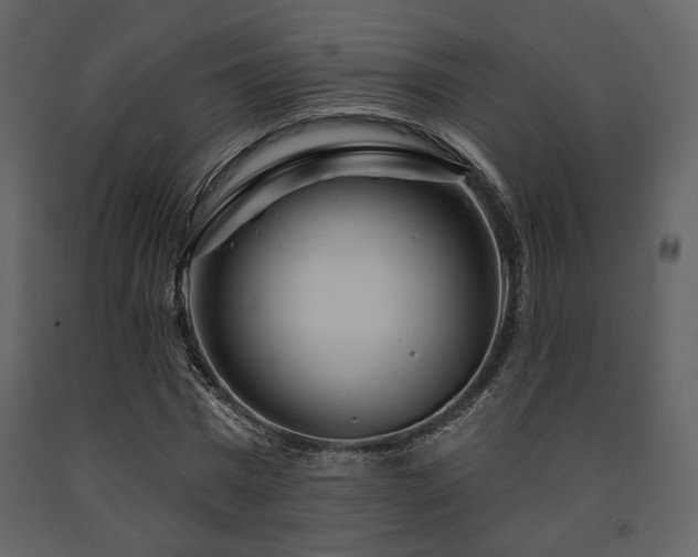 X0000091720777200708241348
