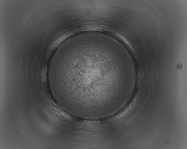 X0000091720778200708241348