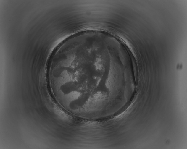 X0000091720779200708241348