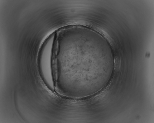 X0000091720780200708241348