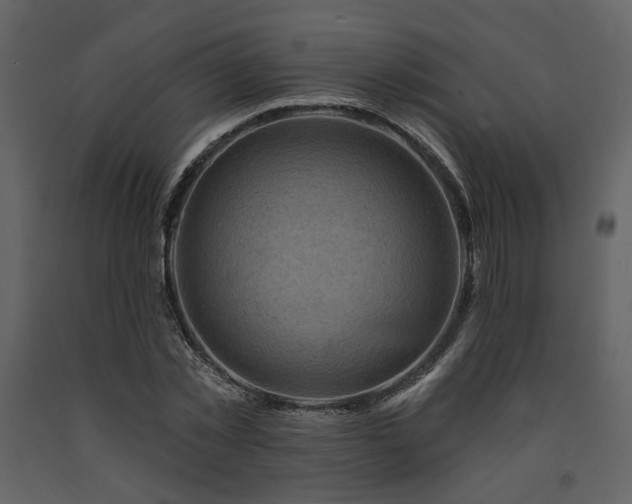 X0000091720781200708241348