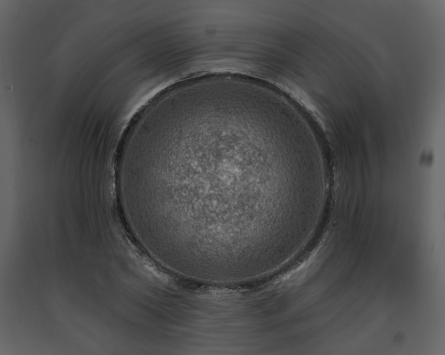 X0000091720782200708241348
