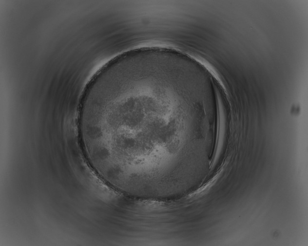 X0000091720783200708241348