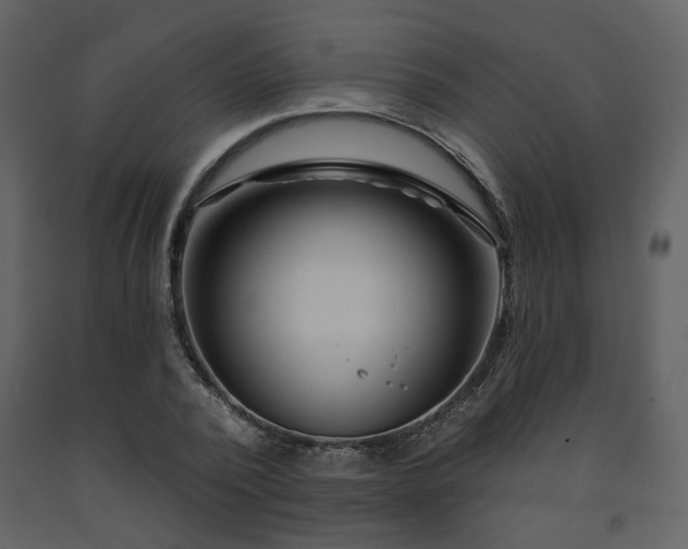 X0000091720784200708241348