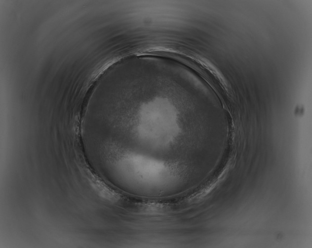 X0000091720785200708241348