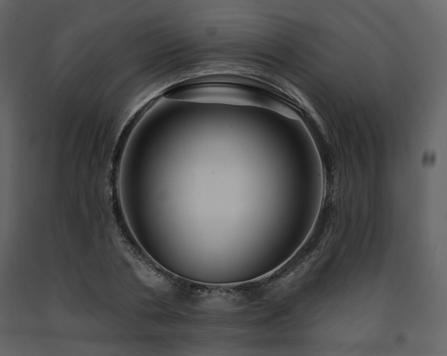 X0000091720786200708241348