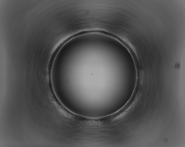 X0000091720789200708241348