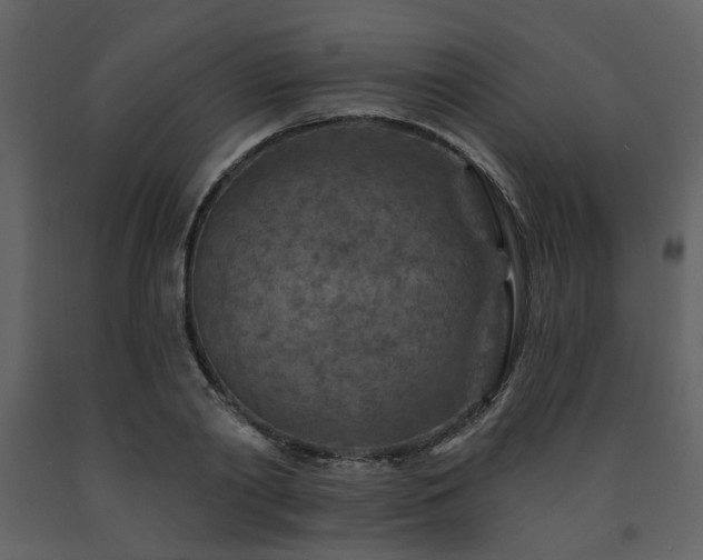 X0000091720790200708241348