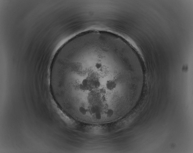 X0000091720791200708241348