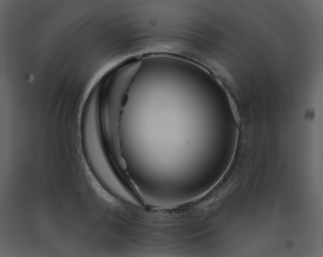 X0000091720792200708241348