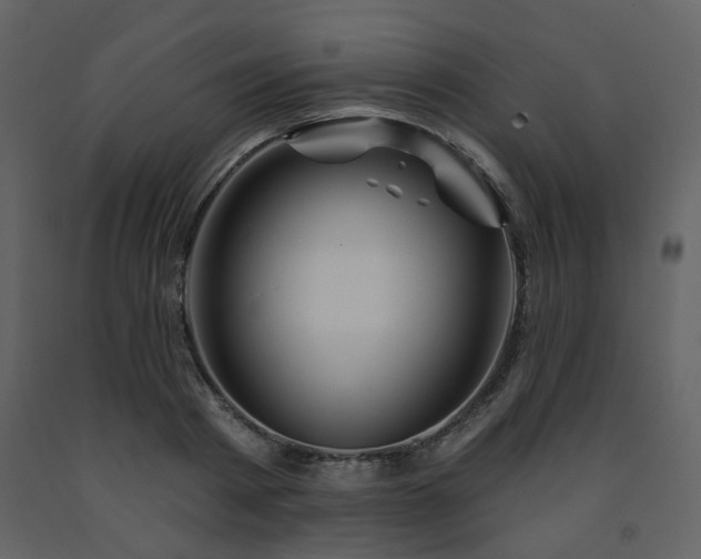 X0000091720793200708241348