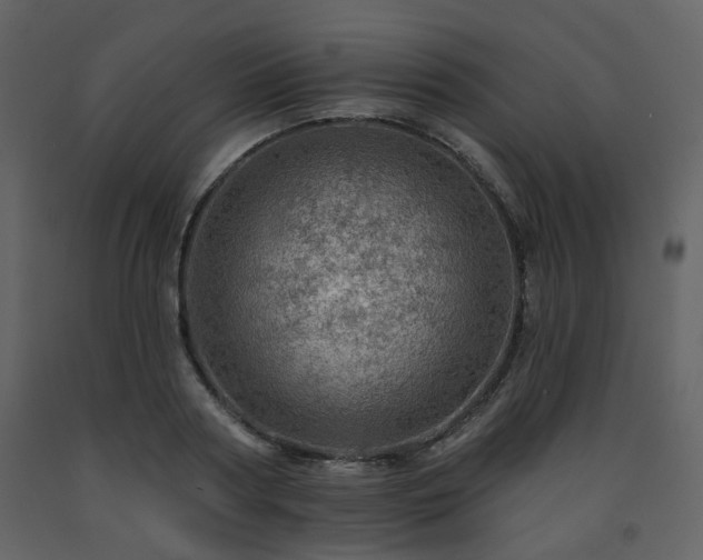 X0000091720794200708241348