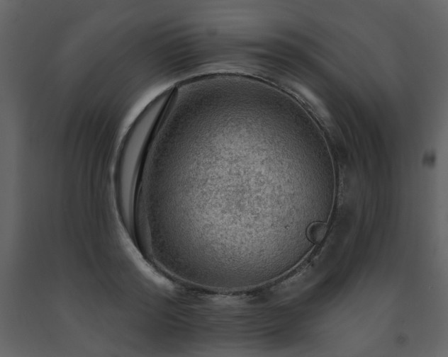 X0000091720796200708241348