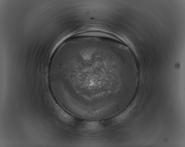 X0000091720798200708241348