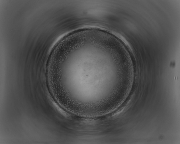 X0000091720799200708241348