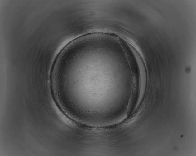 X0000091720803200708241348