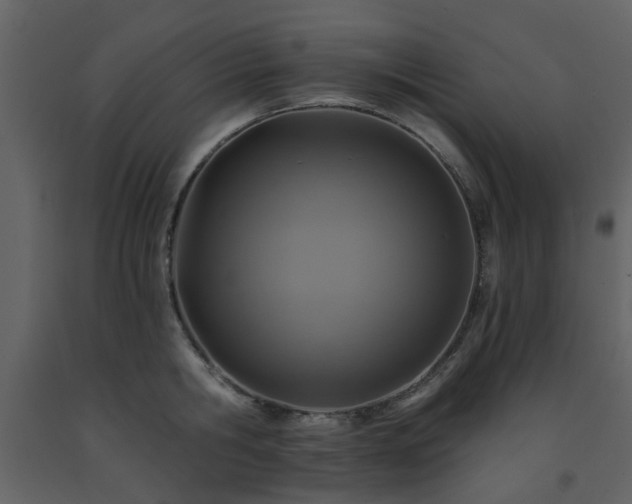 X0000091720806200708241348