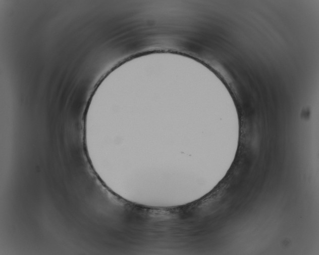 X0000091720807200708241348