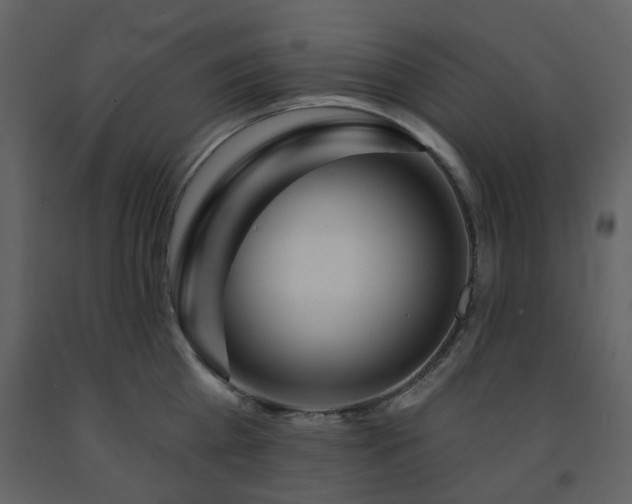 X0000091720809200708241348