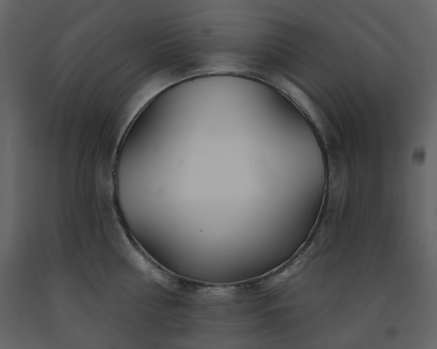 X0000091720810200708241348