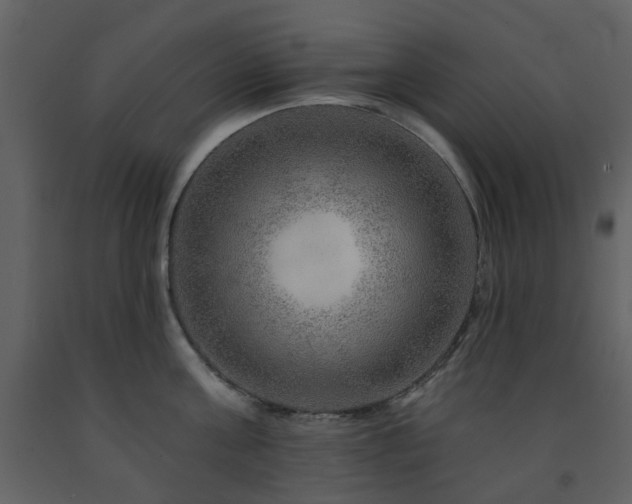 X0000091720811200708241348