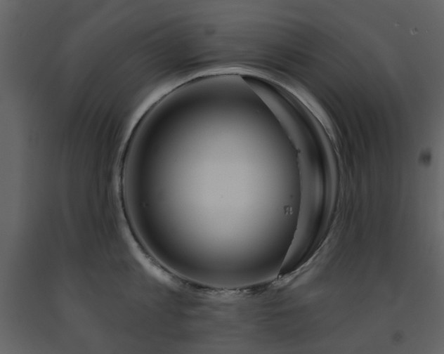 X0000091720813200708241348