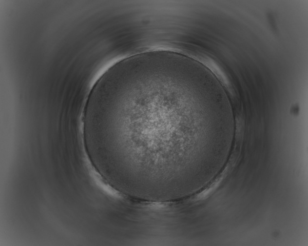 X0000091720814200708241348