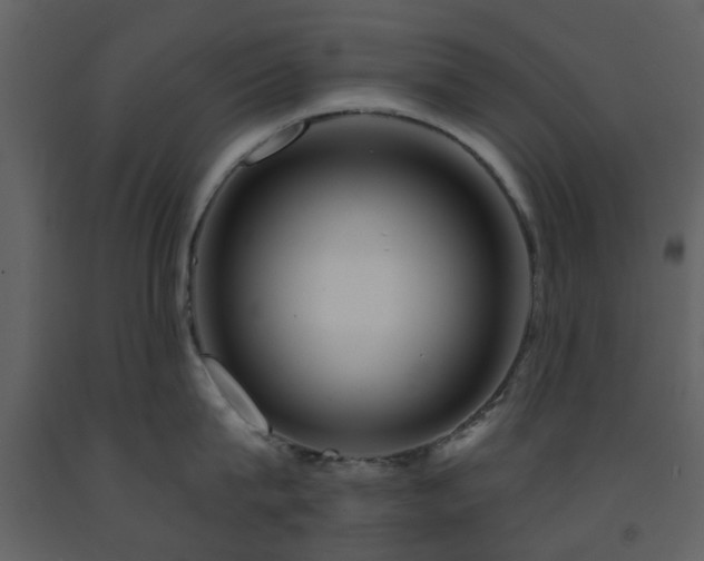 X0000091720815200708241348
