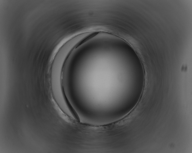 X0000091720816200708241348