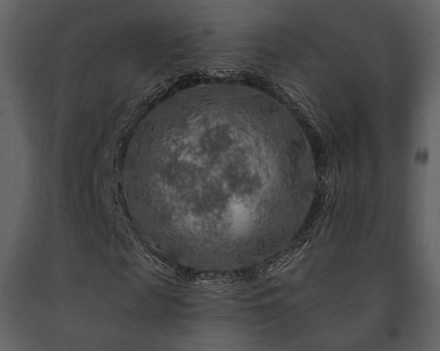 X0000091720817200708241347