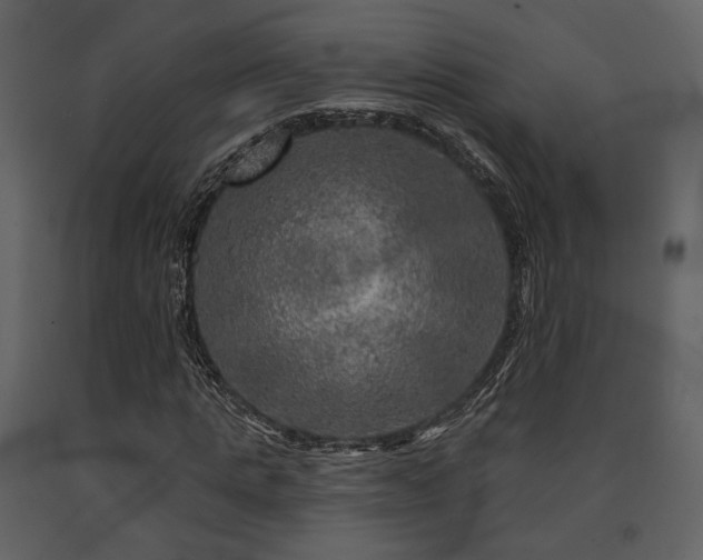 X0000091720821200708241347