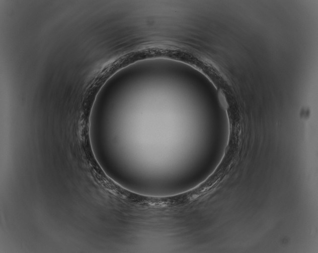 X0000091720822200708241347