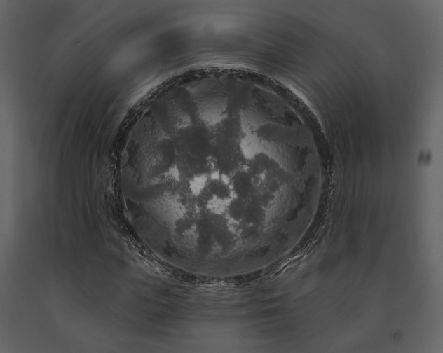 X0000091720823200708241347