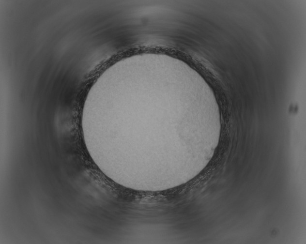 X0000091720824200708241347