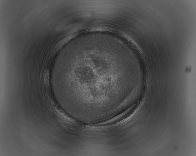 X0000091720825200708241347