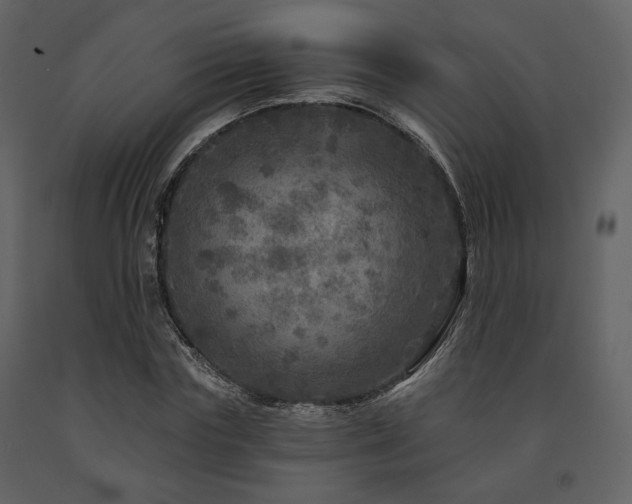 X0000091720827200708241347