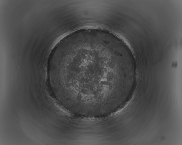 X0000091720829200708241347