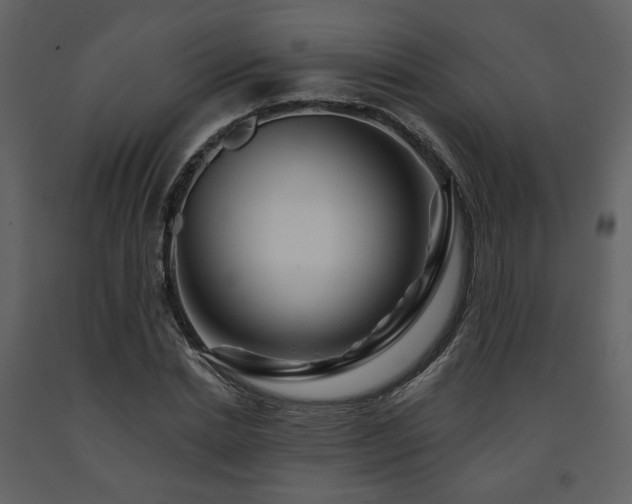 X0000091720830200708241347