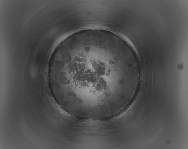 X0000091720831200708241347